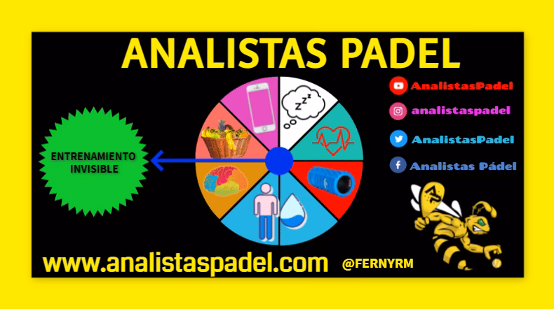 ¿Cuáles son las medidas de una pista de pádel?