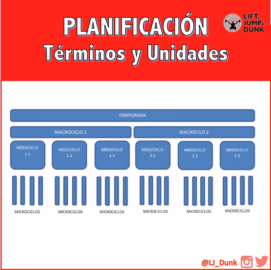 ¿Cuáles son los diferentes tipos de macrociclos?