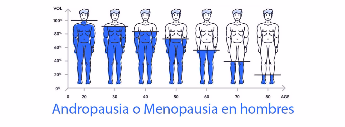 ¿Cuál es la diferencia entre la menopausia femenina y la mujer?
