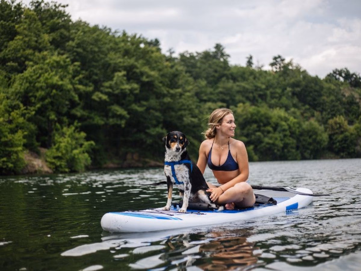 ¿Por qué los perros no están preparados para el paddle boarding?