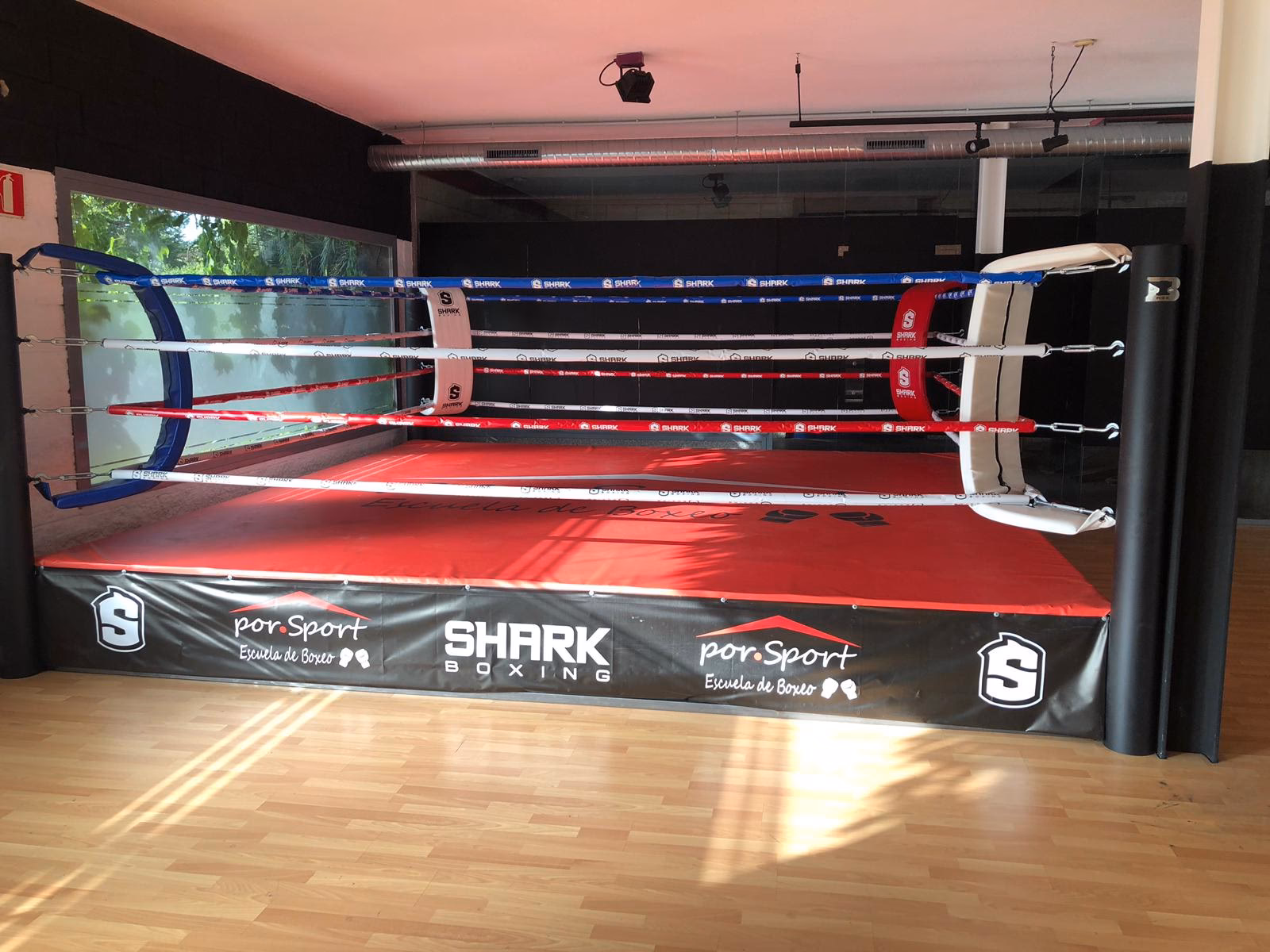 ¿Qué es Esport Boxing Club?