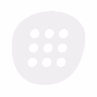 ¿Qué tipo de pala es la siux Pegasus?